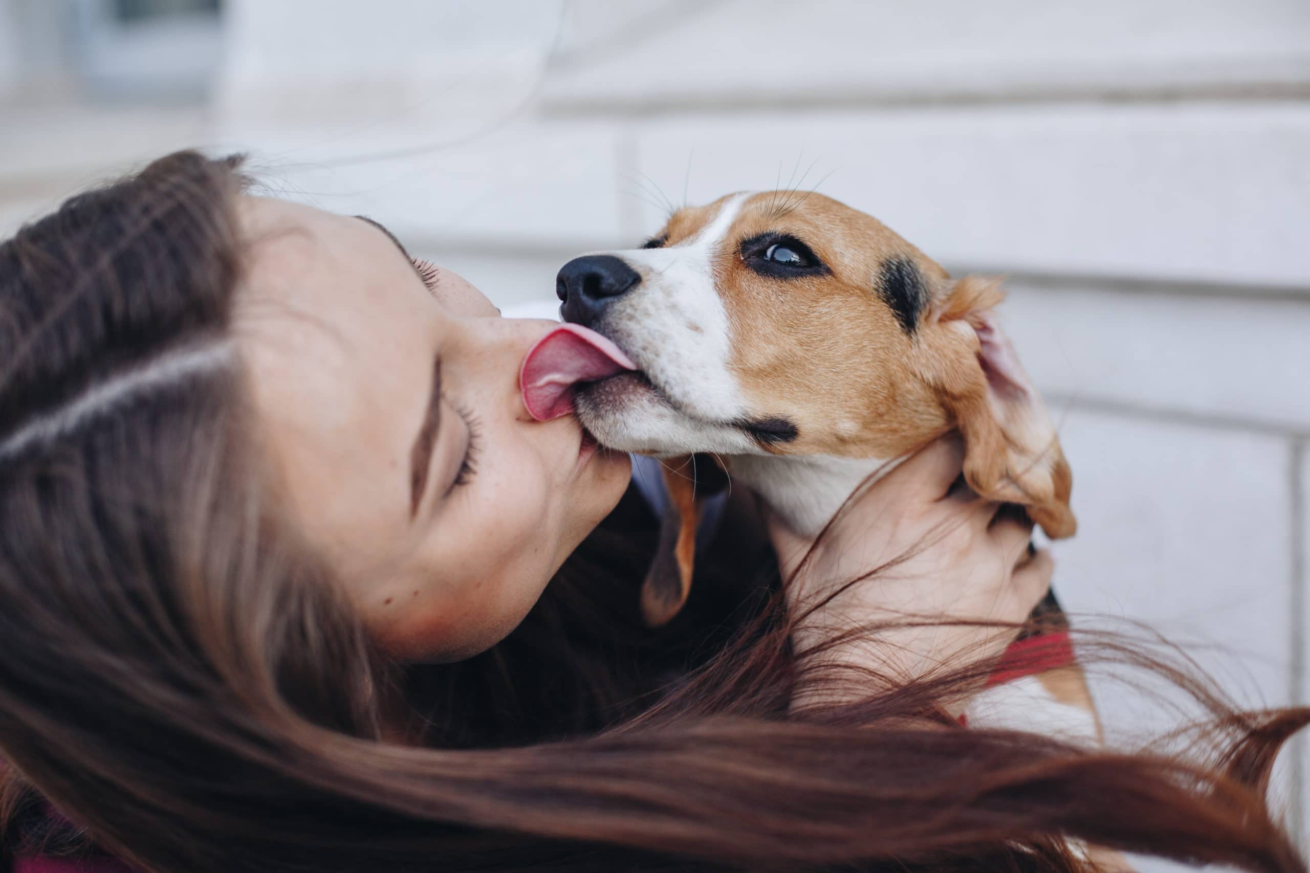 USDA APHIS ANNOUNCES MAJOR AWARD TO PLANTPHARM BIOMED TO DEVELOP EDIBLE COVID VACCINE FOR ANIMALS